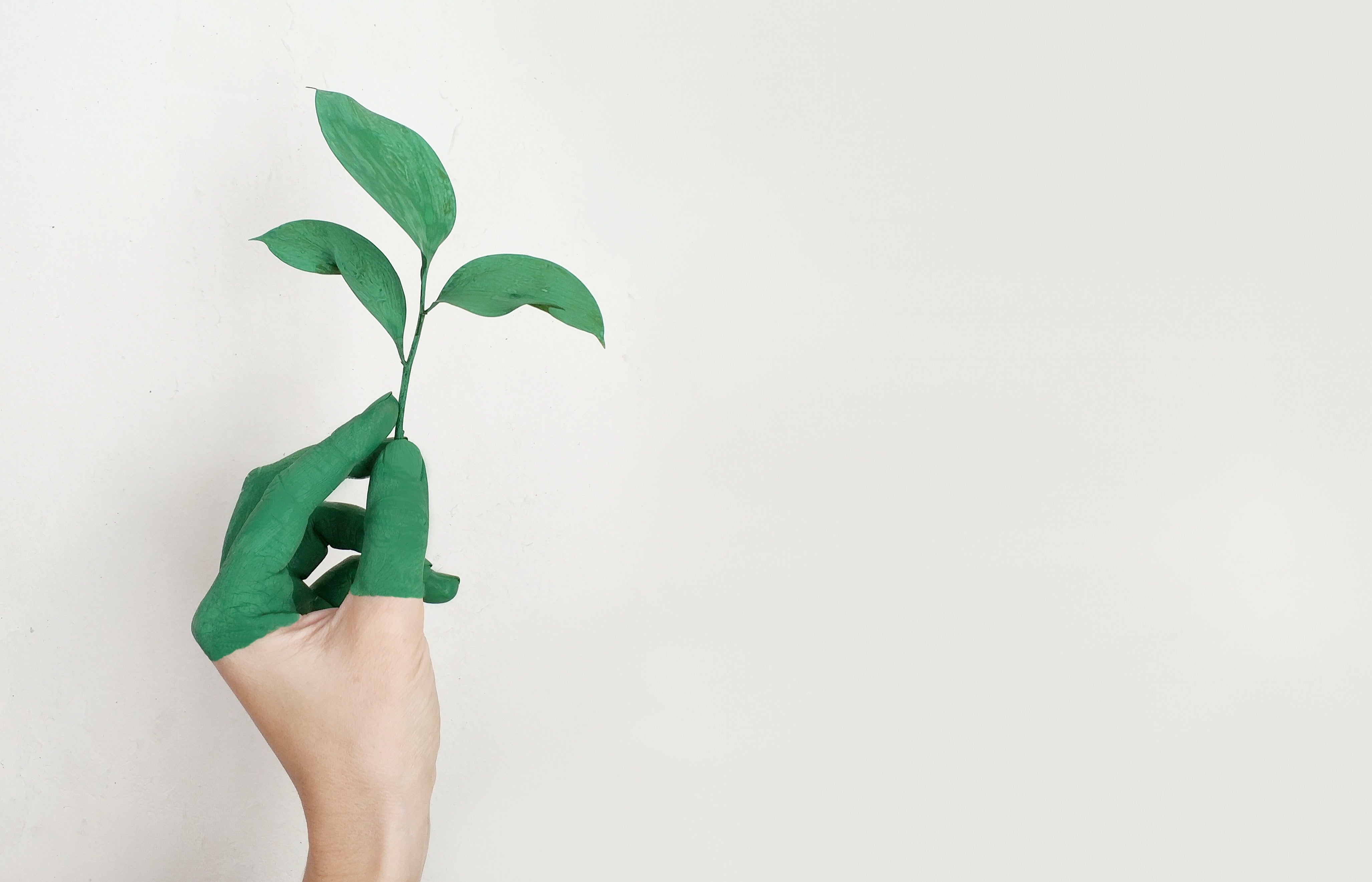10 Tools for Green Consumerism (In Style)