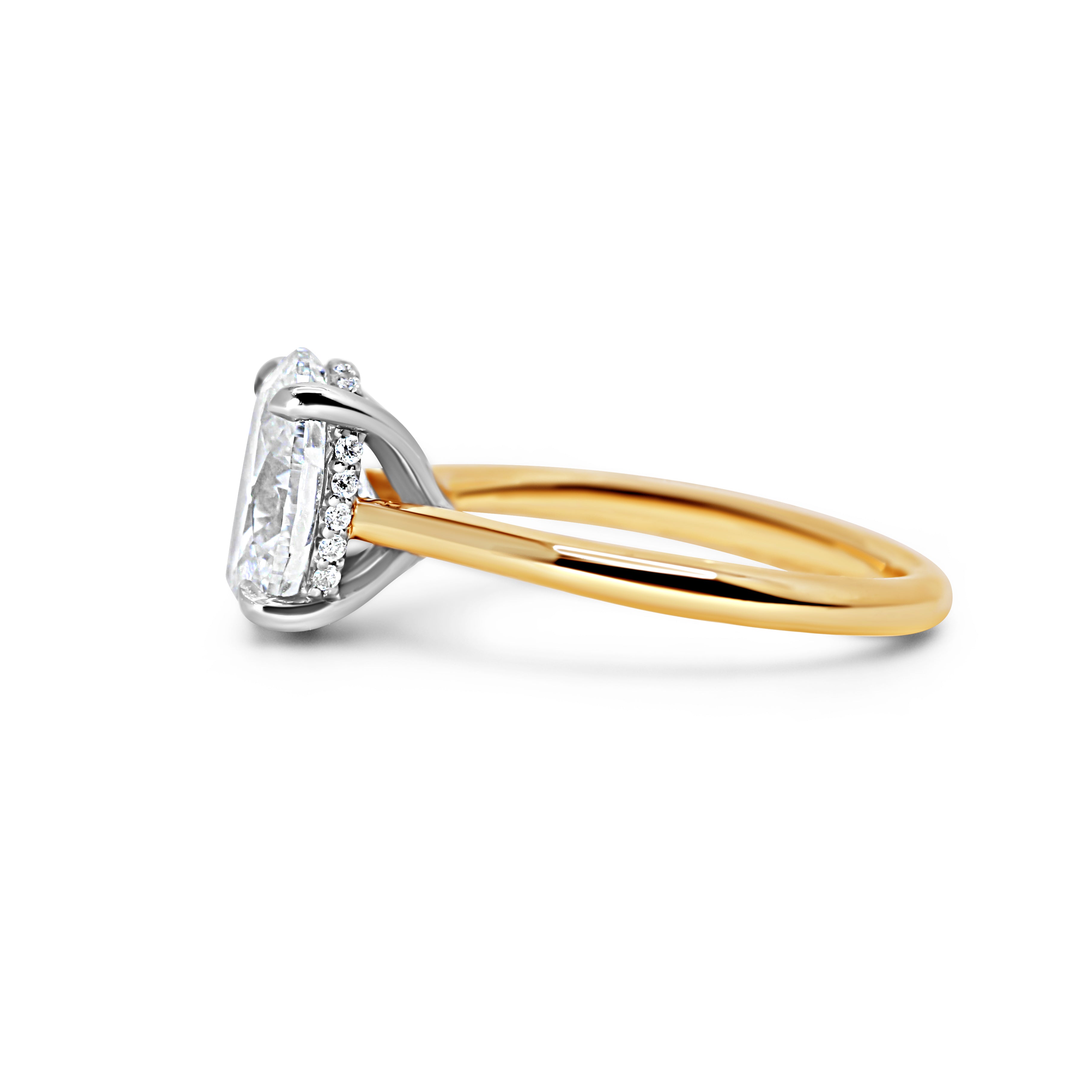 Cathedral Engagement Ring