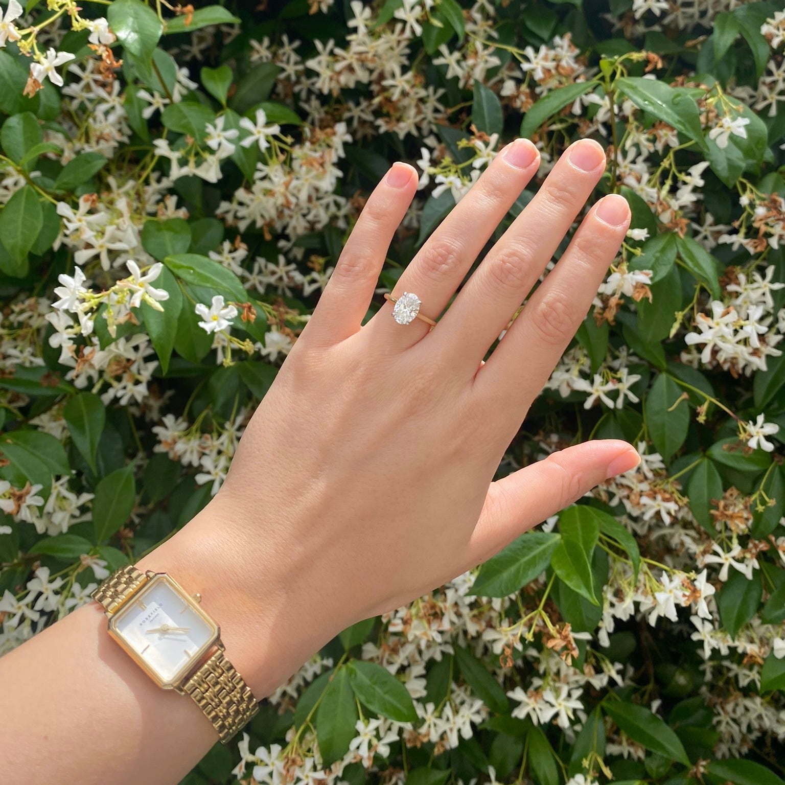 Cathedral Engagement Ring