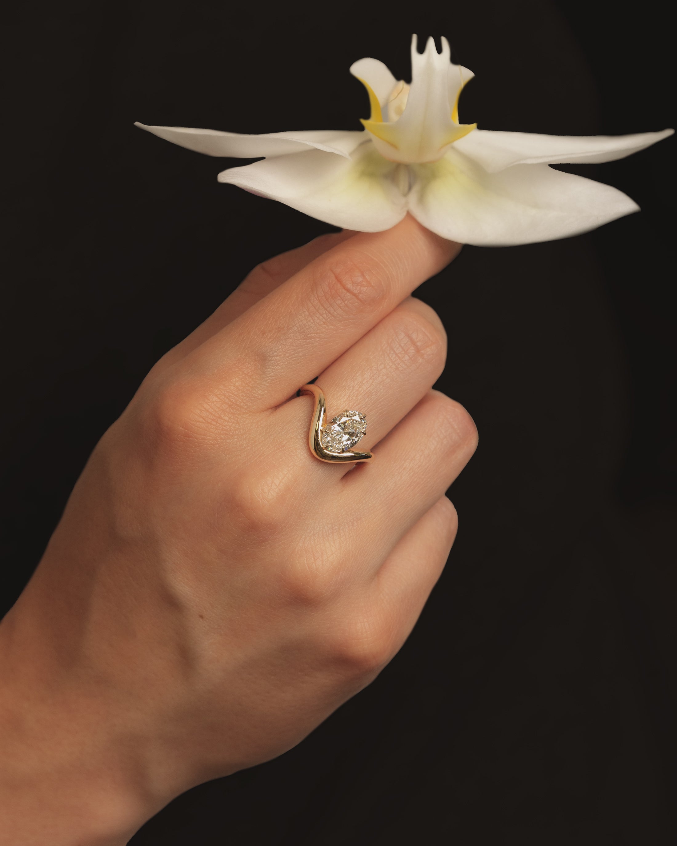 Ascia Ring